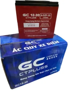 ẮC QUY XE ĐIỆN GC CTPLUS GC12-16