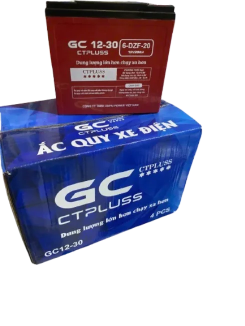 ẮC QUY XE ĐIỆN GC CTPLUS GC12-16